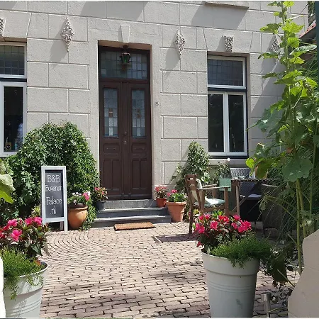 Palace 3*