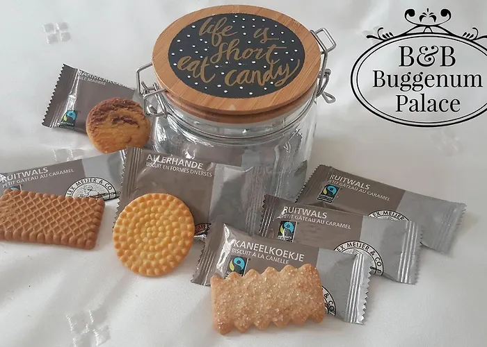 Bed and Breakfast Palace 3*