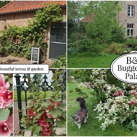 Palace Bed & Breakfast Buggenum